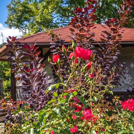 Apartmán U Rybaka Braniewo Exteriér fotografie