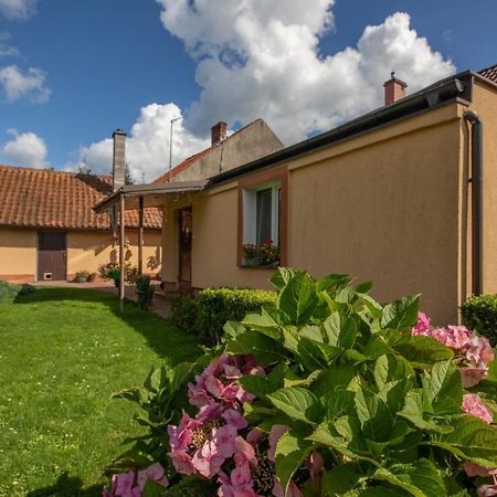 Apartmán U Rybaka Braniewo Exteriér fotografie