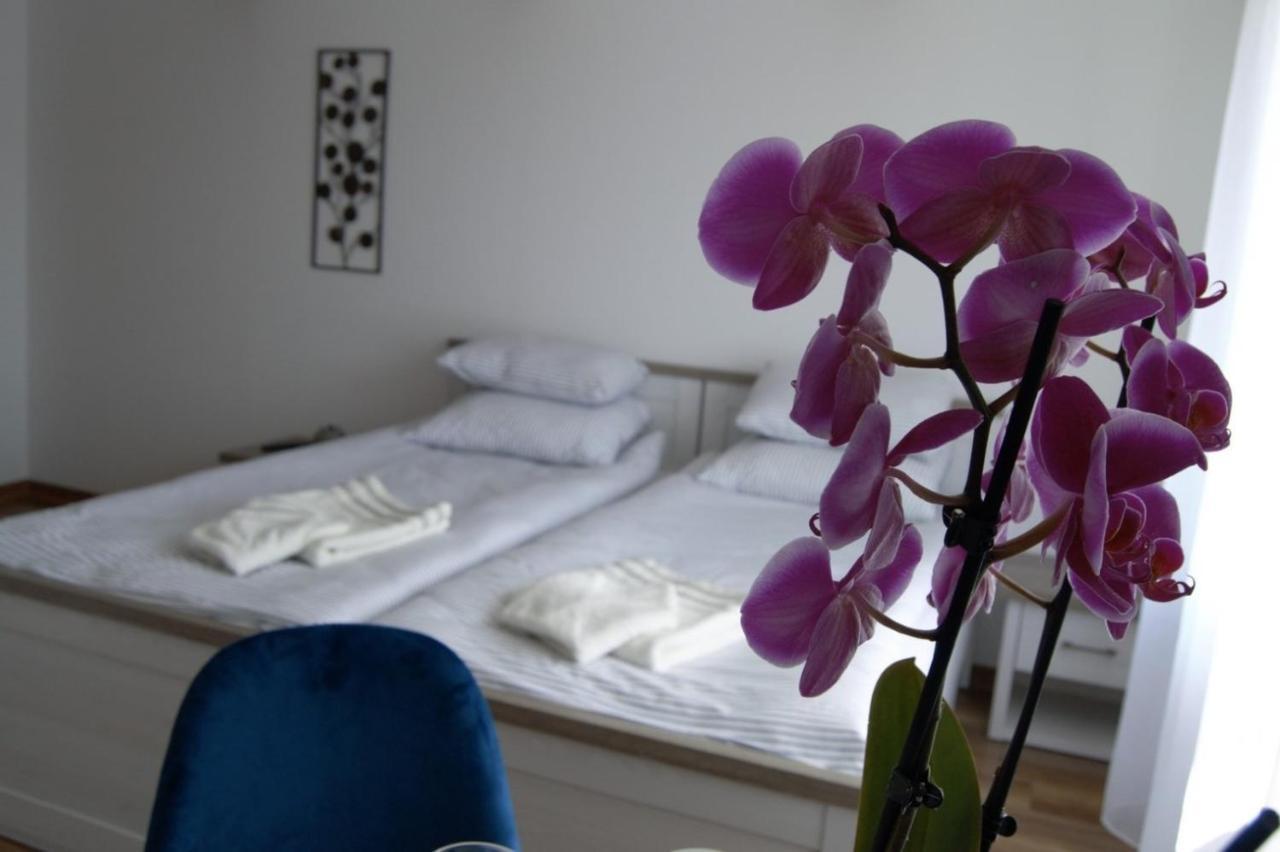 Apartmán U Rybaka Braniewo Exteriér fotografie